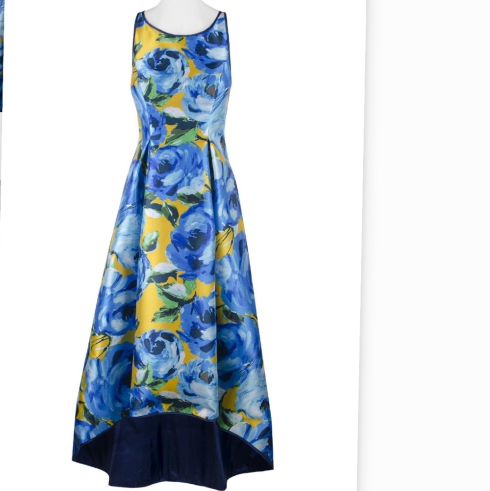 Adrianna papell dress